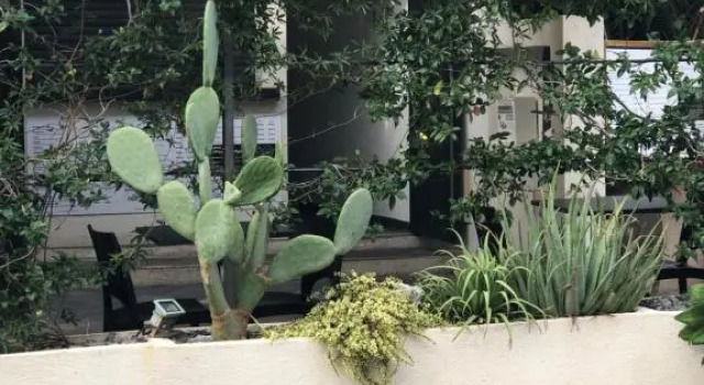 Maison Cabrol