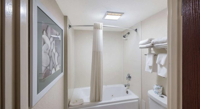 Четырёхместный номер Standard Quality Inn Fort Stockton