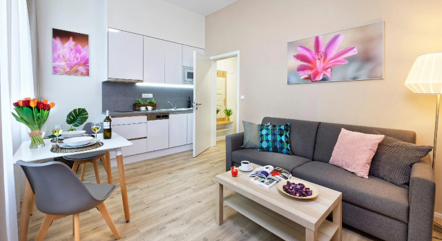 Апартаменты c 1 комнатой DownTown Suites Jugoslavska