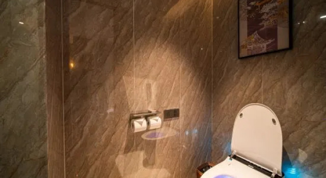 Люкс Deluxe Mingfa Fengyang Hotel