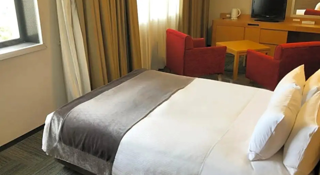 Номер Deluxe Art Hotel Narita
