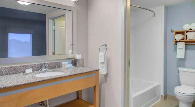 Студия Hampton Inn & Suites Sarasota / Bradenton - Airport