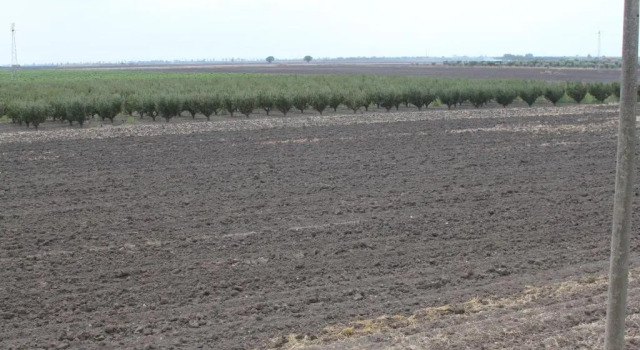 Номер Standard Agriturismo Silos Agri