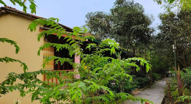 Коттедж Deluxe Rhino Land Jungle Lodge