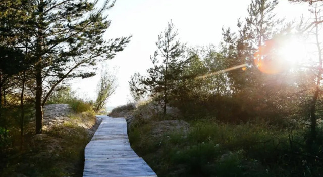 Sodyba prie jūros, Boek Pension Palanga 