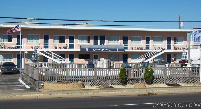 Sea Horse Motel, Varaa Motelli Beach Haven 