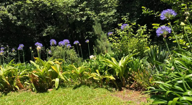 Коттедж Villa-sleeps2-garden-private park
