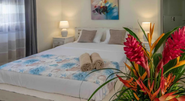 Номер Comfort Hacienda Plaza Boutique Hotel