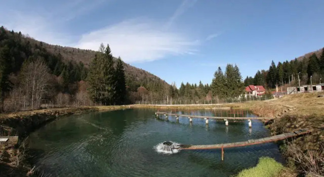 Pension Floarea Reginei, Забронировать Гостевой дом Гостевые дома Prahova Valley, Гостевой дом