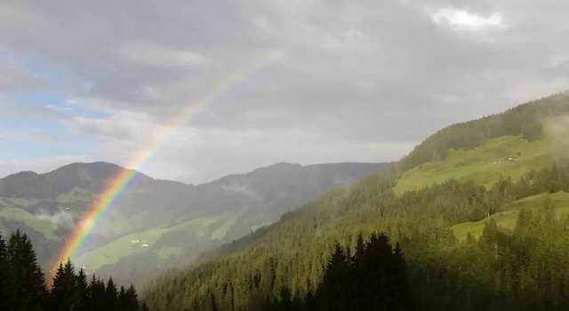 Апартаменты Haus Waldblick