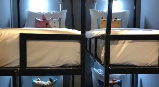 The Bed Hostel at Patong