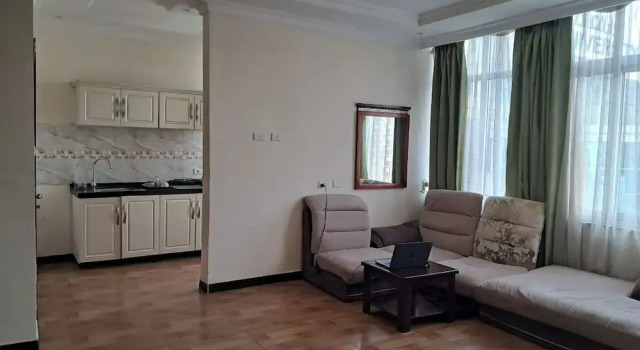 Economy Double room with city view Tilman Hotel