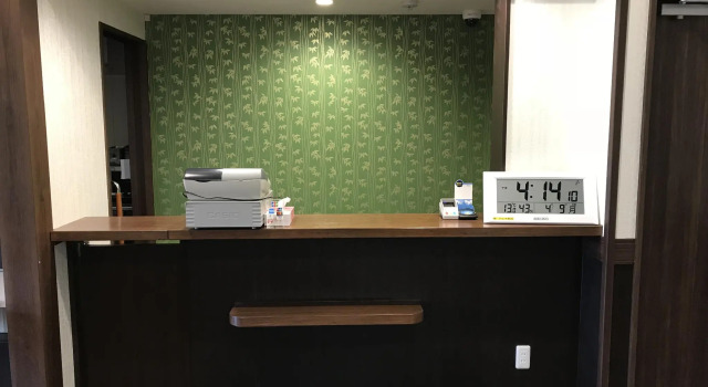 Hotel Famitic Nikko