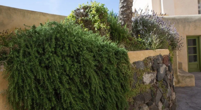 The Palm Tree Residence, Забронировать Отель Акротирион Santorini Caldera