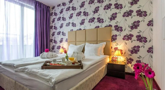 Двухместный люкс Art Plaza Hotel
