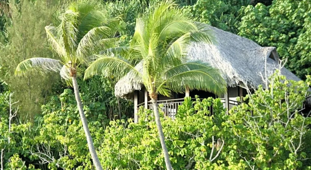 Двухместное бунгало Luxury с видом на океан Sofitel Bora Bora Private Island