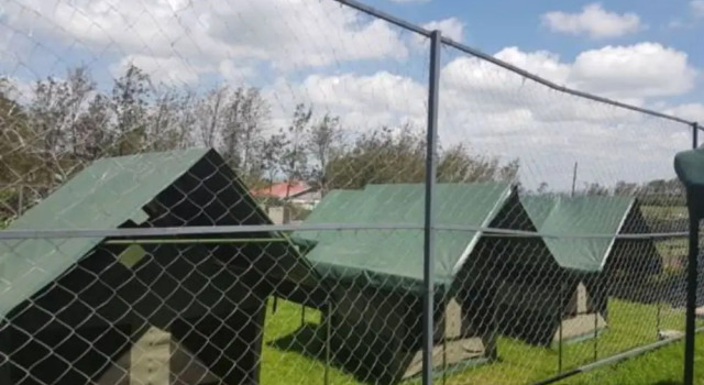 Lesiolo Hills Hotel, Rezervovat Hotel Levné hotely v Nakuru