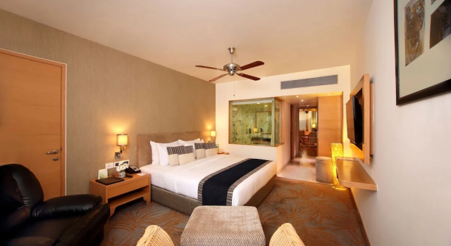 Standard double suite Hotel Maurya