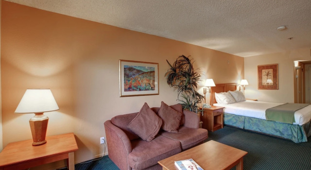 Двухместный номер Standard Miracle Springs Resort and Spa