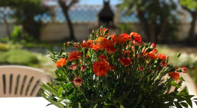 Номер Standard il giardino sul mare B&B