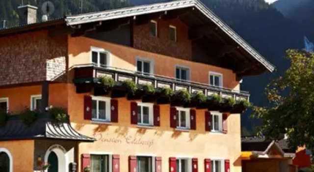 Номер Standard Gästehaus Edelweiss