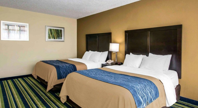 Четырёхместный люкс Comfort Inn & Suites Lantana - West Palm Beach South