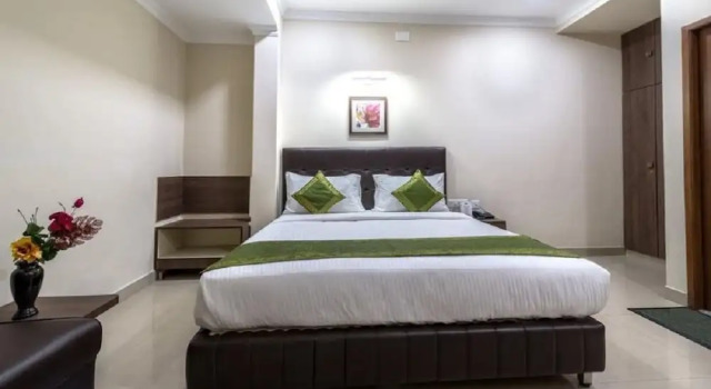 Номер Standard Hotel Mount Kailash Suites