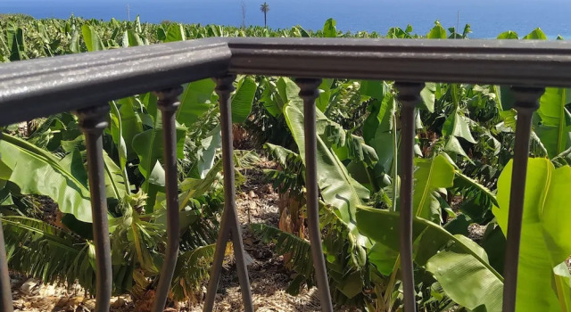 Апартаменты с 2 комнатами с балконом Trébol "trail Mountain La Palma" Vistas Al Mar