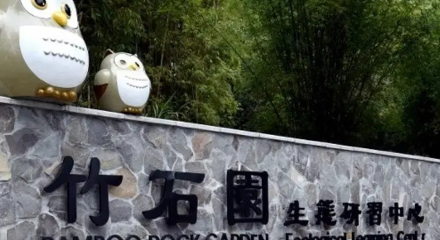 Одноместный номер Standard Sun Moon Lake Bamboo Rock Garden