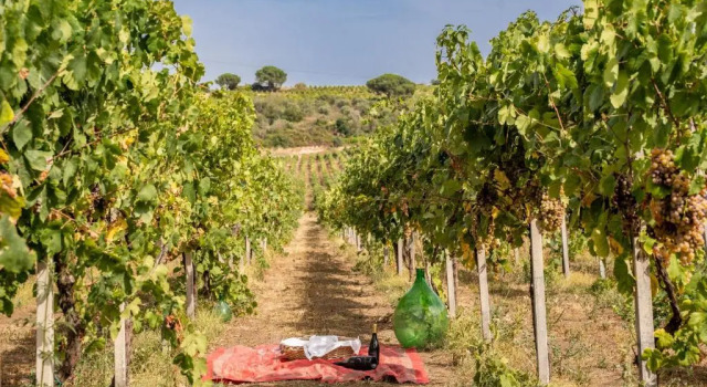 Un' Ottima Annata - La casa nel vigneto, Prenota Hotel Hotel a Lazio con parcheggio, Parcheggio