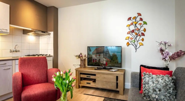Двухместный номер Standard Aparthotel Ons Epen
