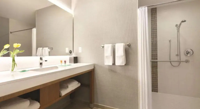 Двухместный номер Hyatt Place at Anaheim Resort / Convention Center