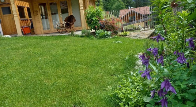 Апартаменты Aparthaus am Walde & Appartement Sonnenseite