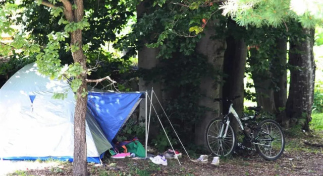Номер Standard Camping Yoghi e Bubu