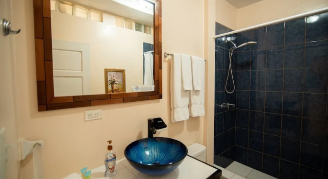 Двухместные апартаменты Deluxe BELIZE TROPICAL DREAM VILLAS