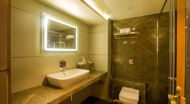 Двухместный номер Deluxe Hotel Shubh Inn