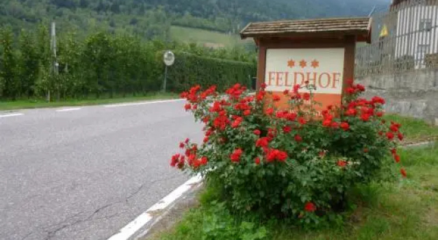 Residence Feldhof - Ferienwohnungen mit Bergblick im Vinschgau inklusive Guestpass, Забронировать Апартаменты/квартира Кастельбелло-Циардес Vinschgau