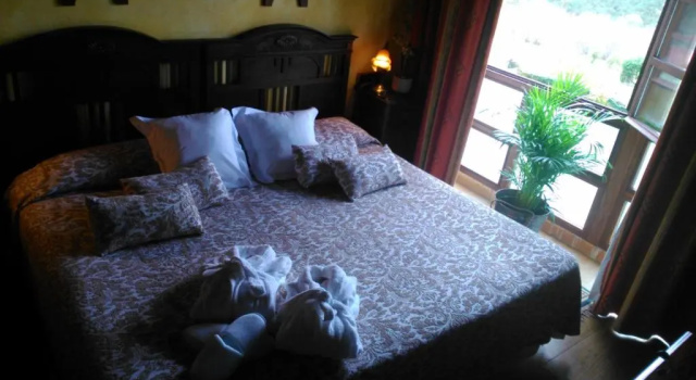 Двухместный номер Standard Pazo de Bendoiro