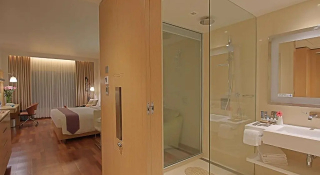 Двухместный номер Premier Novotel Visakhapatnam Varun Beach