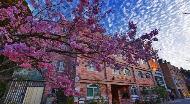 Chinshan Villa, Book Hotel Zhongzheng Alishan