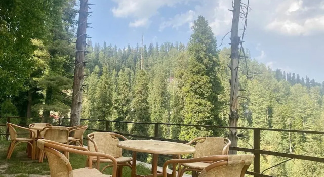 Номер Deluxe Fogland Hotel Nathia Gali