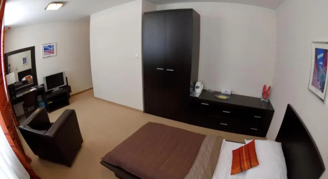 Одноместный номер Business Aston Hotel