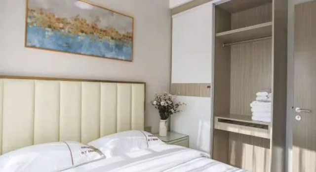 Люкс Bangtuo Meinuo Executive Apartment (Shenzhen Wanda Plaza)