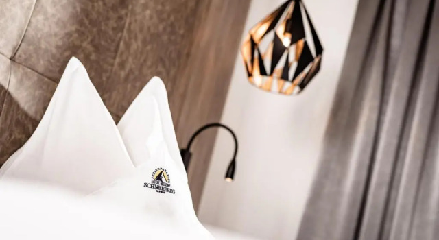Номер Economy Hotel Schneeberg FAMILY SPA RESORT