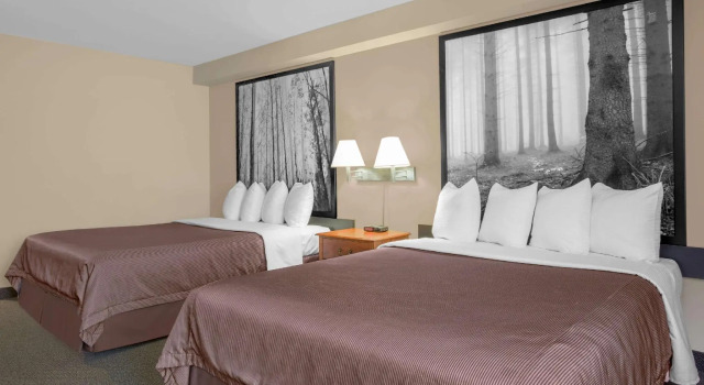 Четырёхместный номер Standard Super 8 by Wyndham Sault Ste Marie On