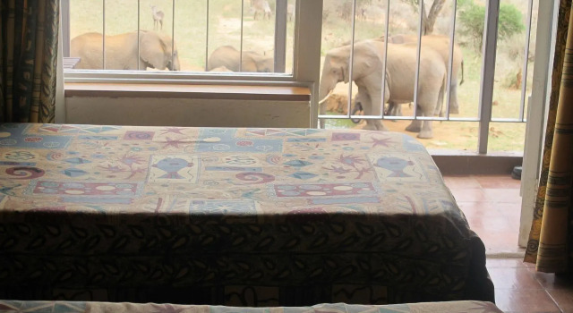 Ngulia Safari Lodge, Rezerwuj Dom wakacyjny Hotele w Coast Region ze śniadaniem, Śniadanie