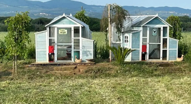 Коттедж c 1 комнатой Fattoria Palazzeta - Pet & Family Friendly