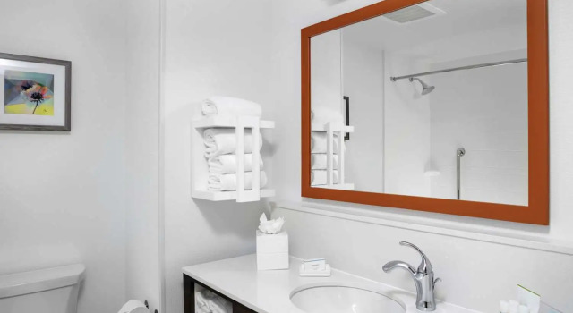 Четырёхместный номер Standard Hampton Inn & Suites Cedar Park North Austin, Tx