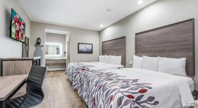 Номер Standard Red Roof Inn Baytown