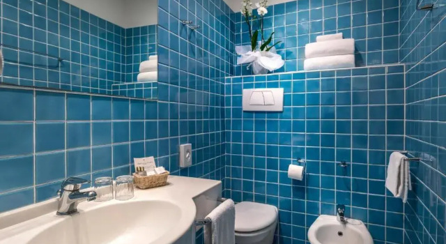 Трёхместный номер Standard Hotel Cristina Corona